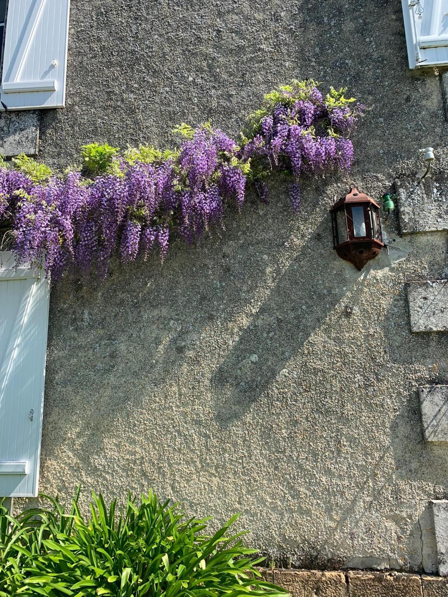 No5 Chambre D'Hotes Courcome Exterior photo